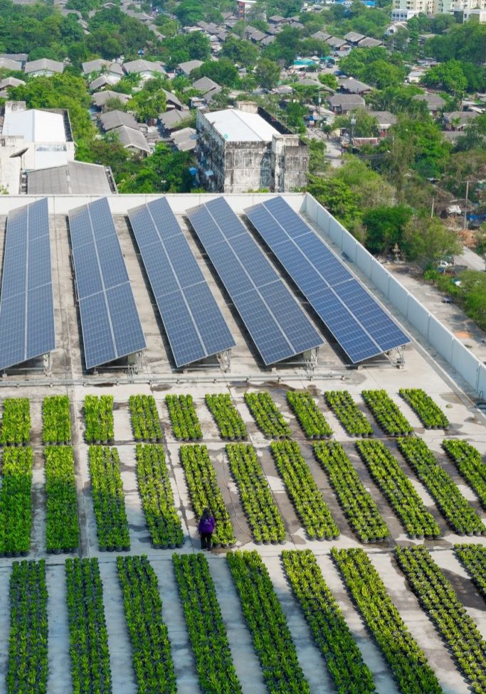 Rooftop with commercial scale solar and green